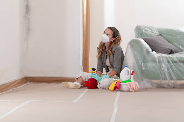 Reliable Black Mold Removal contractor in Miami, FL by WQB Mold Removal
